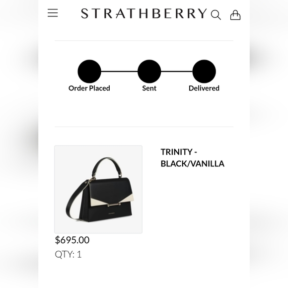 Strathberry Trinity - Picture 15 of 16